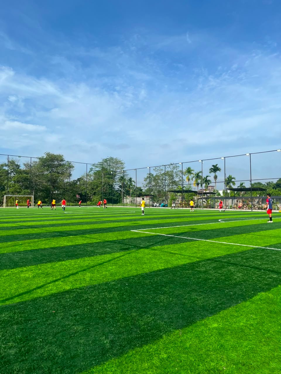 5 Alasan Mengapa Mini Soccer Hotel Mona Plaza Jadi Pilihan Utama Tim Kamu!